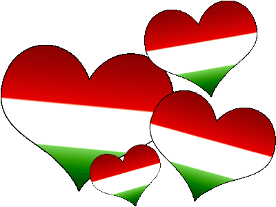 Szép magyar beszéd – kerületi forduló