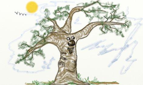 Az öreg fa meséi - rajzpályázat gyerekeknek
